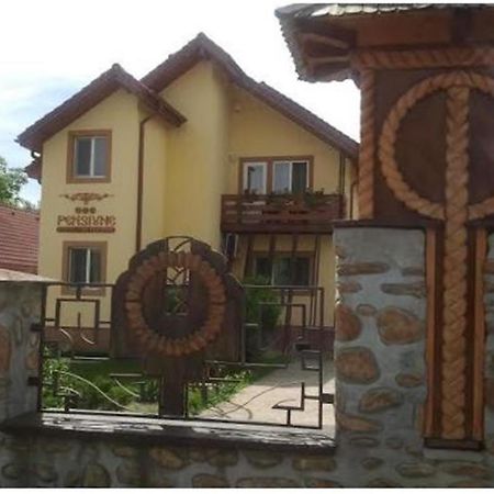 Pensiunea Pentru Tine Prietene Arcani Værelse billede