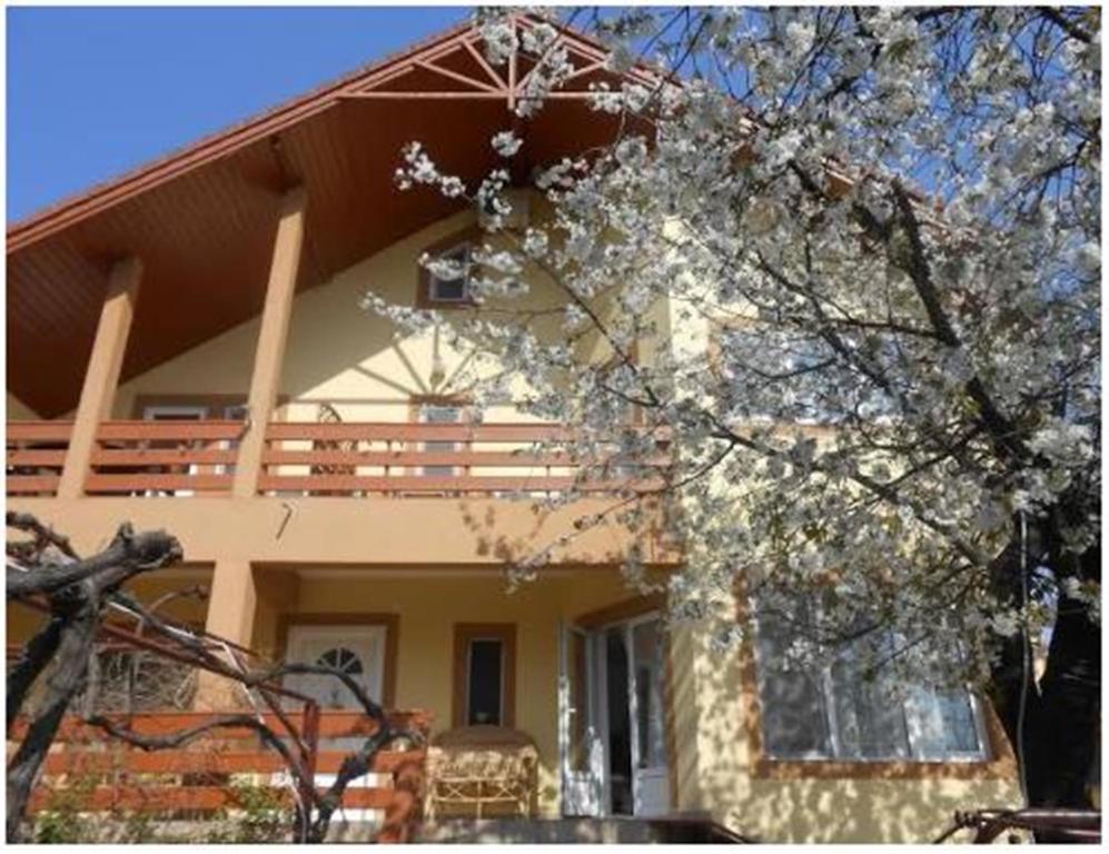Pensiunea Pentru Tine Prietene Arcani Værelse billede