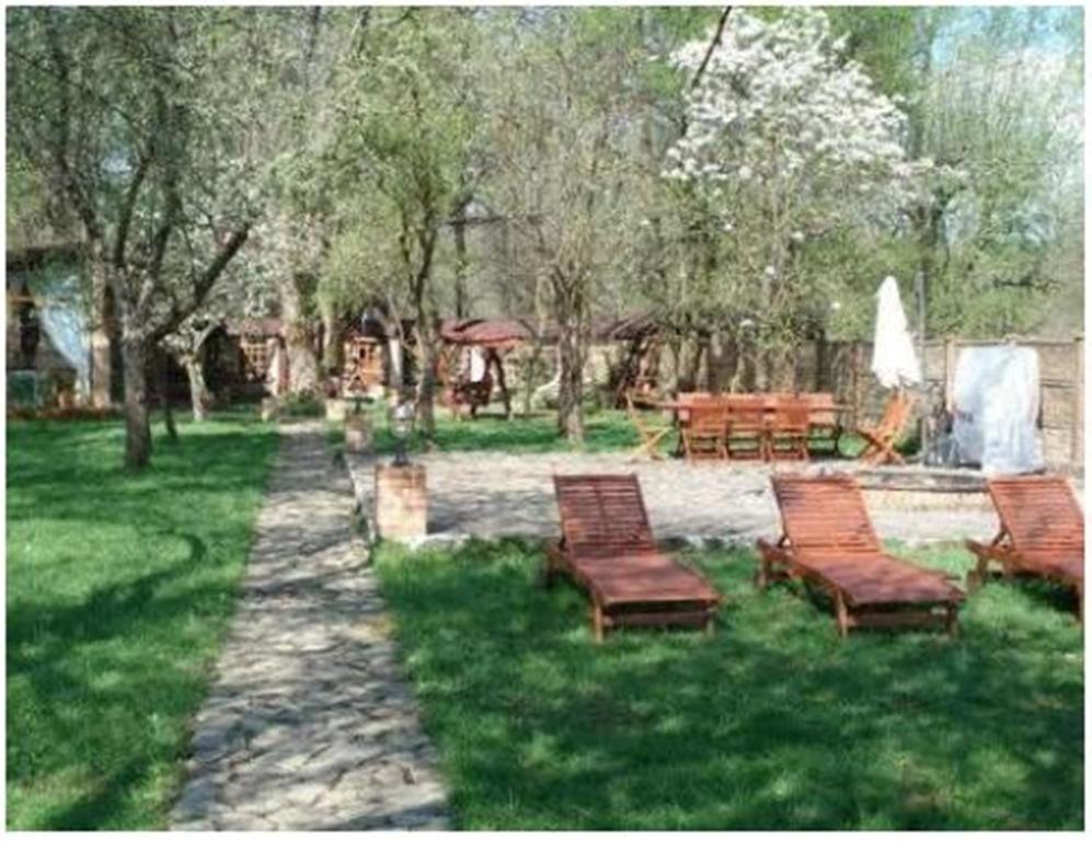 Pensiunea Pentru Tine Prietene Arcani Værelse billede